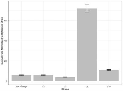 Genomic, transcriptomic, and metabolic characterization of 2-Phenylethanol-resistant Saccharomyces cerevisiae obtained by evolutionary engineering